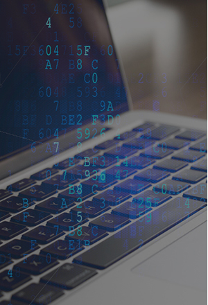 丽江网站造作建设公司